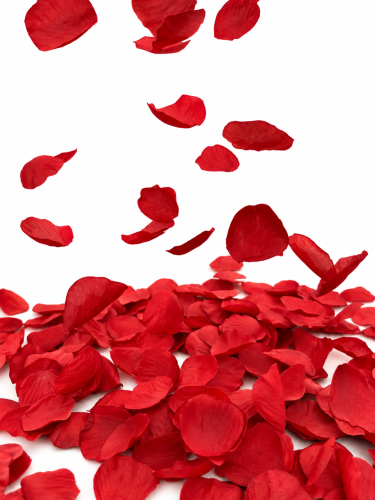 0F13994D-F2A4-4901-9F52-9870852E35D4.PNG