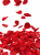 0F13994D-F2A4-4901-9F52-9870852E35D4.PNG