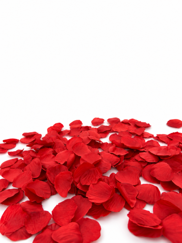 97EF3A91-20DD-4278-AC8E-82D7B6A38E86.PNG
